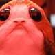 No te conviertas en este Porg triste. Sácate cualquier expectativa que tengas sobre una nueva película de Star Wars de la cabeza antes de ir a verla.